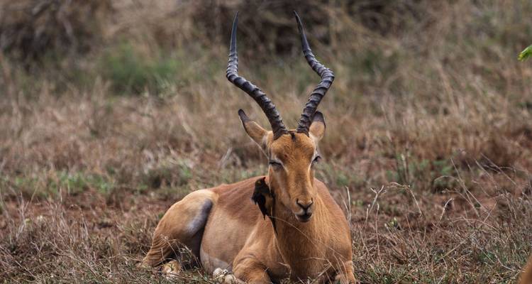 Viajes: El safari definitivo por el sur de África National Geographic Journeys - National Geographic Journeys with G Adventures 10