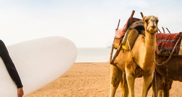 Cinq jours au Maroc - Intrepid Travel 9