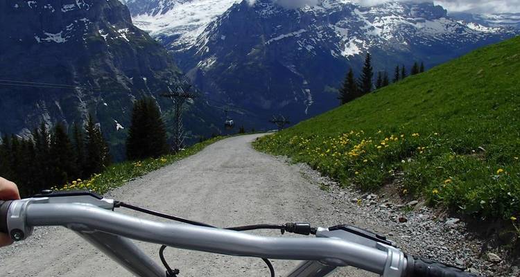 Blick eines Mountainbikers auf einen Weg in den Bergen.