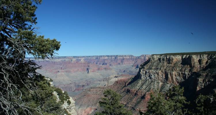 Exploring America's National Parks - Cosmos 7