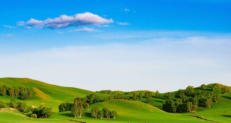 Enormes colinas verdes ondulantes salpicadas de árboles bajo un cielo azul brillante y una sola nube.