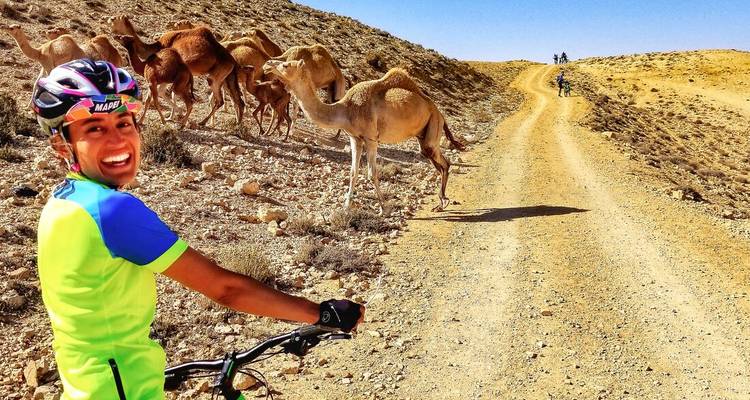 Un cycliste sourit sur un sentier de terre aux côtés d'un troupeau de chameaux dans un paysage aride de la Jordanie