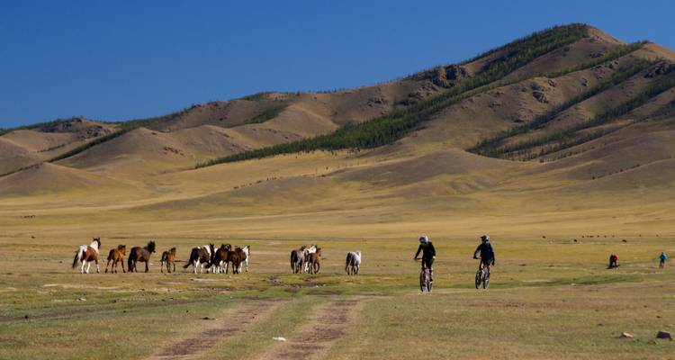Ciclismo en Mongolia - Festival Naadam - Exodus Adventure Travels 2