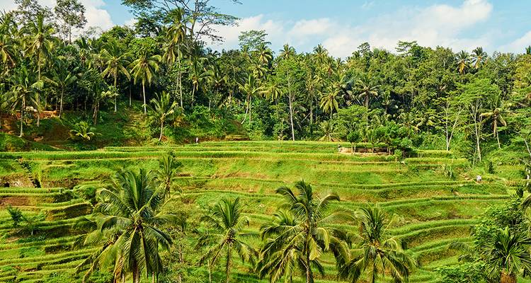 Vacances en famille à Bali avec des adolescents - Intrepid Travel 5