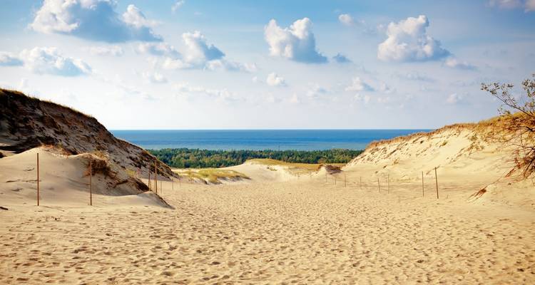 Lo mejor del Báltico + Costa Báltica en 10 días (Salida garantizada) - Baltic Tours 9