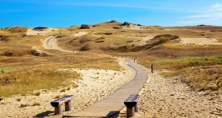 Lo mejor del Báltico + Costa Báltica en 10 días (Salida garantizada) - Baltic Tours 10