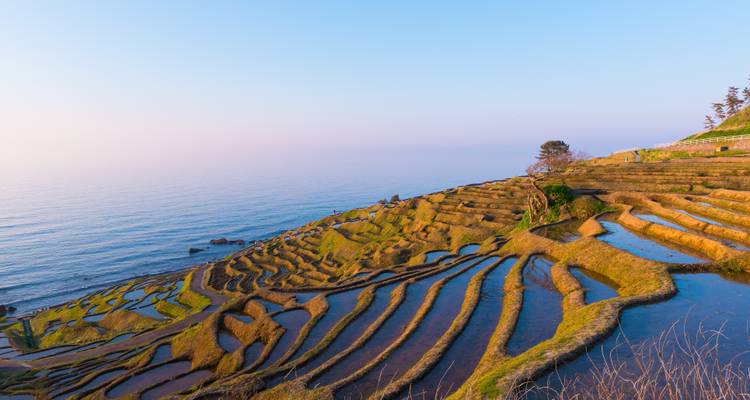 Ciclismo en Japón - Exodus Adventure Travels 2