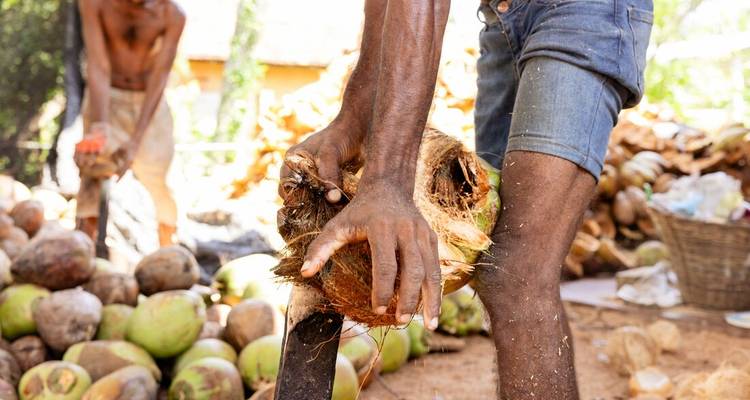 Man splitting open coconuts with a machete.