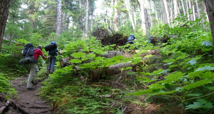 La route des tamponneurs : Trek sur la piste Chilkoot - Ruby Range Adventure 1