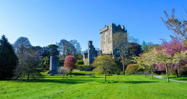 Ireland in a Week (Classic, Winter) - Contiki 6
