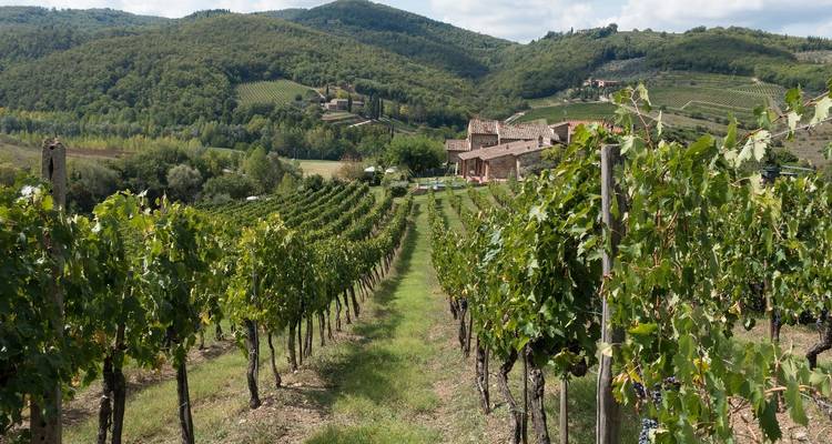 La Toscane gourmande - Cosmos 4