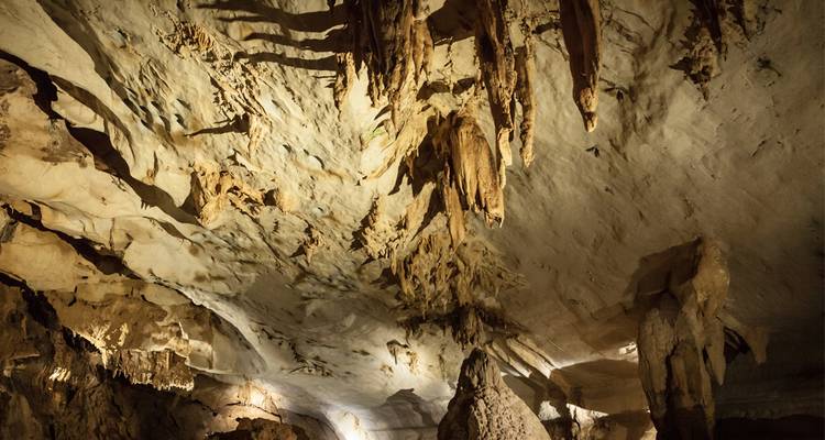 Des stalactites et des formations rocheuses accidentées remplissent une vaste chambre de grotte calcaire faiblement éclairée.