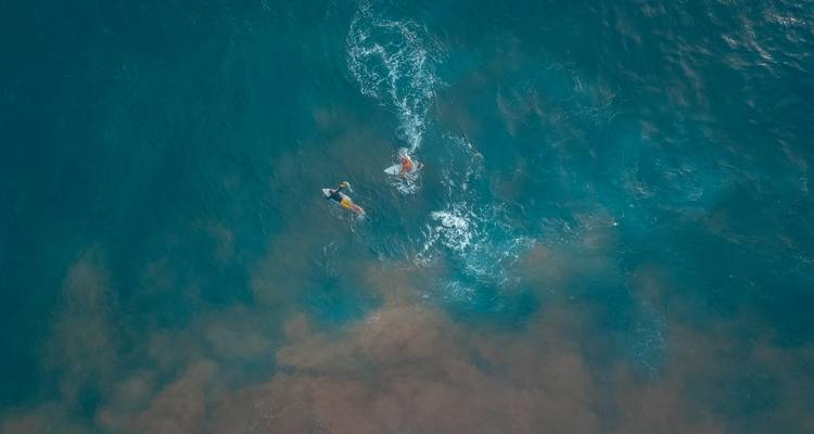 Toma con dron de dos surfistas remando a través de olas turquesas con sedimento arenoso debajo.
