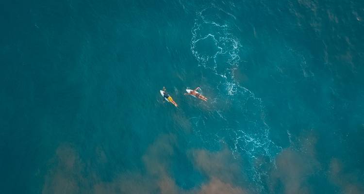 Vista aérea de dos surfistas remando a través de agua azul profunda con estelas espumosas.