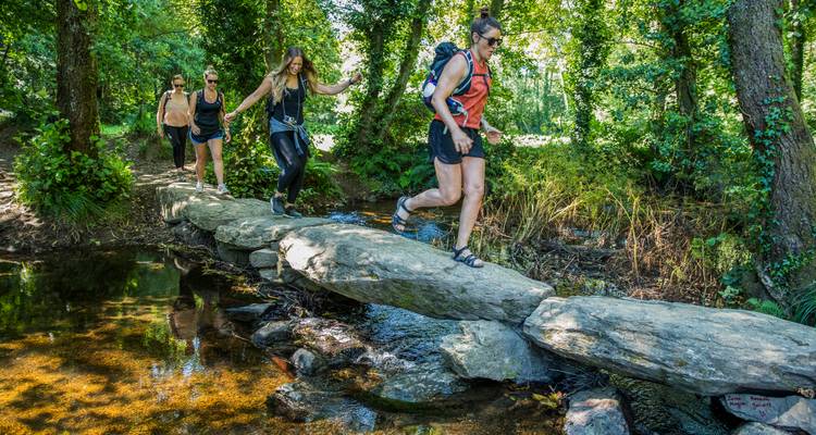 Los senderistas se equilibran cruzando una fila de piedras planas sobre un arroyo cristalino rodeado de bosque frondoso en el sendero del Camino.