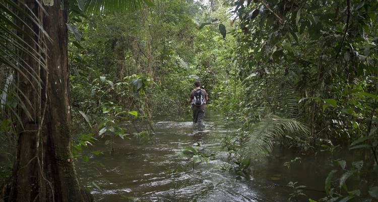 Interior y Amazonas - G Adventures 1