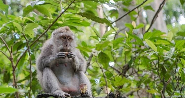 Bali : Plages et promenades en bateau - G Adventures 4