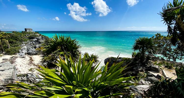 Üppige Küstenvegetation rahmt das weite türkisfarbene Meer und die fernen Ruinen von Tulum unter einem hellen Himmel ein.