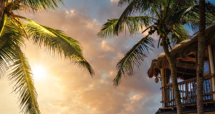 Goldenes Sonnenuntergangslicht, das durch Palmwedel neben einer rustikalen hölzernen Strandhütte filtert.