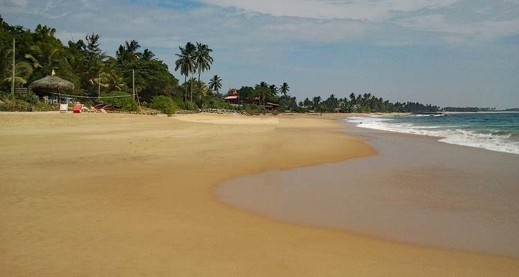 Discover Kerala & Sri Lanka: Islands & Ruins - G Adventures 7