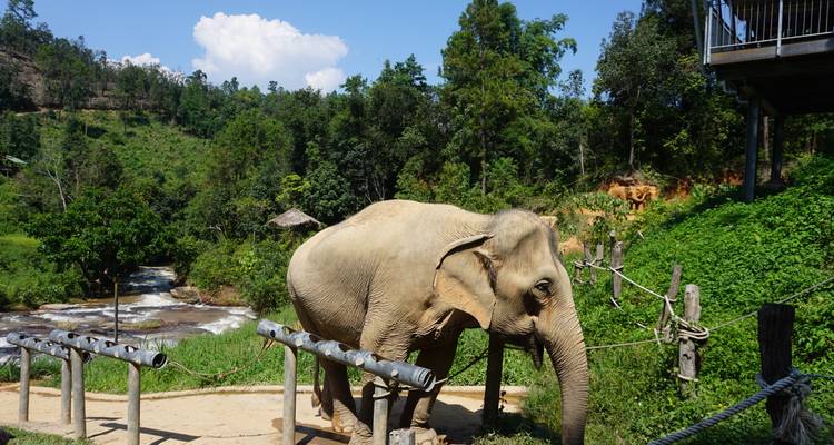 14-Day Thailand to Laos: Bangkok, Chiang Mai, Luang Prabang & Hanoi - The Dragon Trip 10