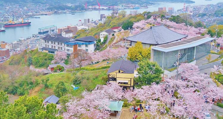 Japan: Hike, Bike & Kayak - Intrepid Travel 8