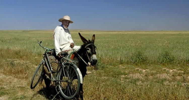 Expédition de la caravane de chameaux au Maroc et au Sahara - Morocco Discoveries 10
