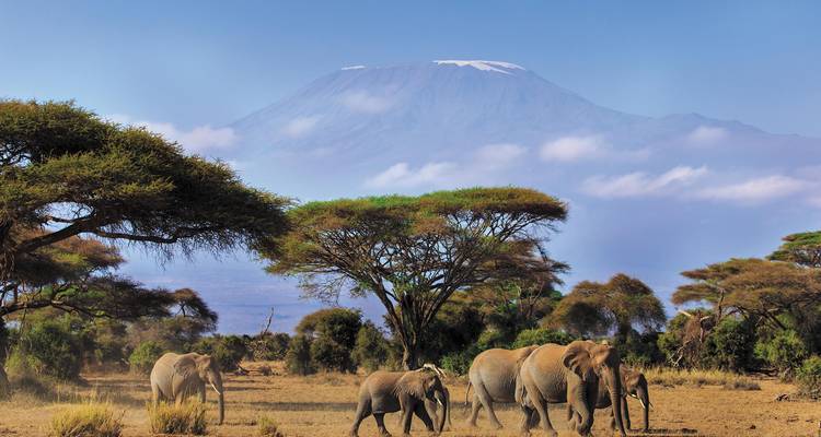 Safari au Kilimandjaro - Route de Machame - Intrepid Travel 10