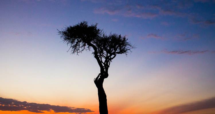 Gorillas & Masai Mara - Camping Reverse - Exodus Adventure Travels 10