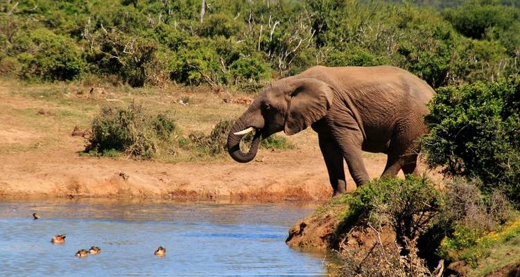 Spectacular South Africa (Small Groups) - Luxury Gold 6