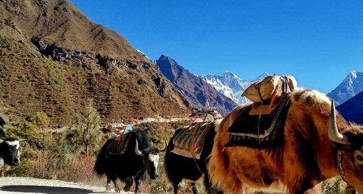 Circuito al campamento base del Everest - Outfitter Nepal Treks and Expeditions 1
