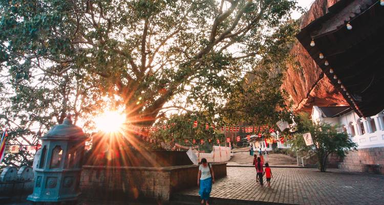 Personas caminando cerca de un árbol con la luz del sol filtrándose a través.