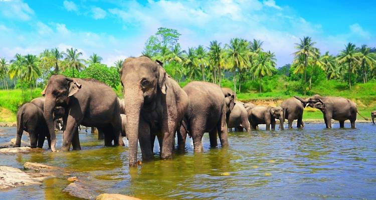 La selección de Sri Lanka - Aitken Spence Travel 7