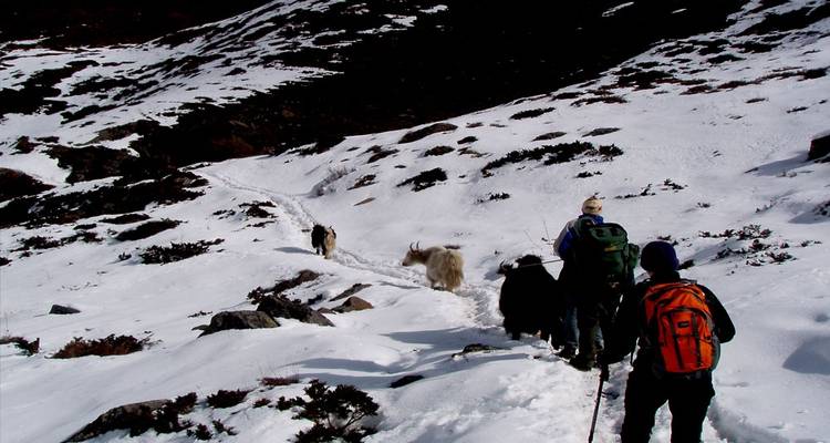 Annapurna Circuit Trek - Outfitter Nepal Treks and Expeditions 4
