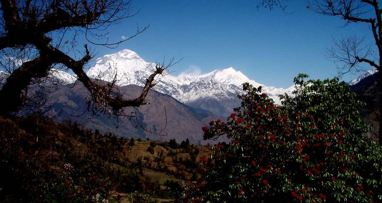 Annapurna Circuit Trek - Outfitter Nepal Treks and Expeditions 6