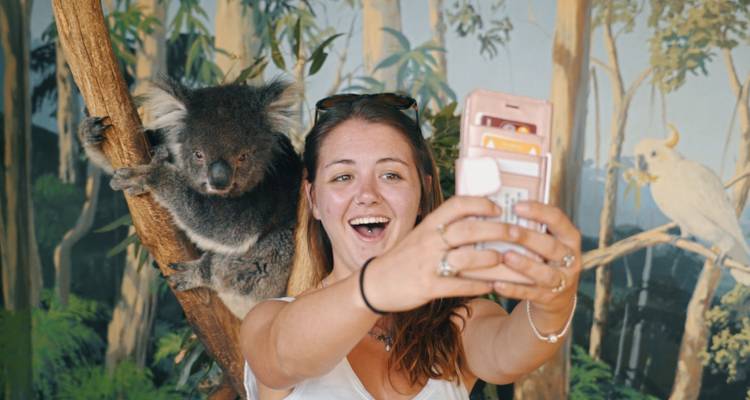 Femme prenant un selfie avec un koala.