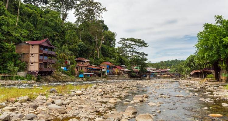 Village au bord de la rivière avec une végétation dense.
