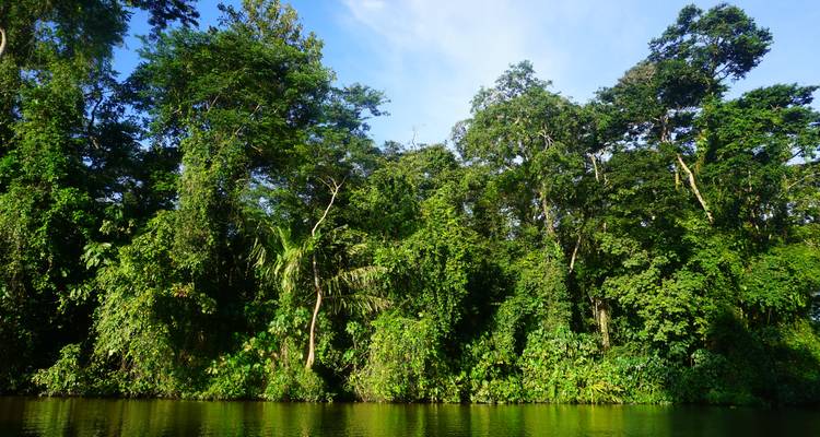 Tortuguero: un paraíso natural en Costa Rica - Green World Adventures 4