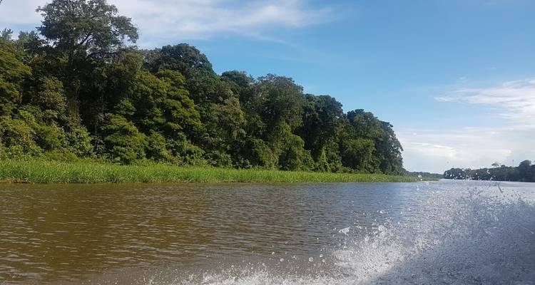 Rivière avec de l'eau qui éclabousse entourée d'arbres.