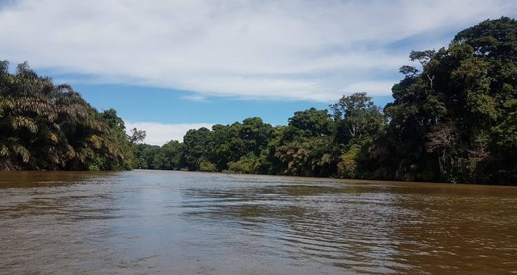 Tortuguero: un paraíso natural en Costa Rica - Green World Adventures 8