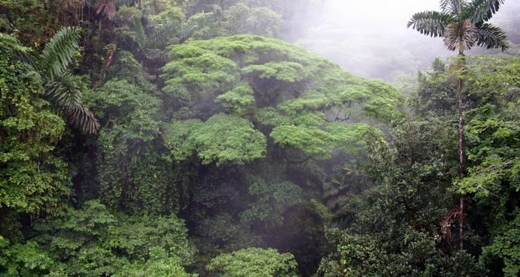 Volcán Arenal y bosque Nuboso de Monteverde Costa Rica, la combinación perfecta - Green World Adventures 7