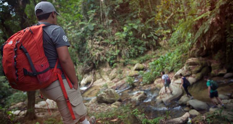 Rucksacktourist mit großem rotem Rucksack beobachtet Teamkollegen beim Überqueren eines Baches während einer Dschungeltrekking-Tour.