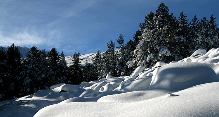 Vitosha, Rila and Pirin - the Great Winter Adventure (Snowshoeing Trek) - Traventuria 6