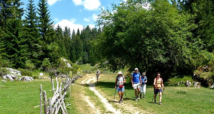 In the Footsteps of Orpheus (self-guided walking tour) - Traventuria 7