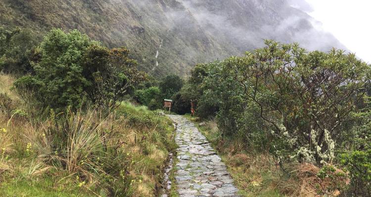 Inca Trail to Machupicchu 4 days 3 nights - Crossover Peru 6