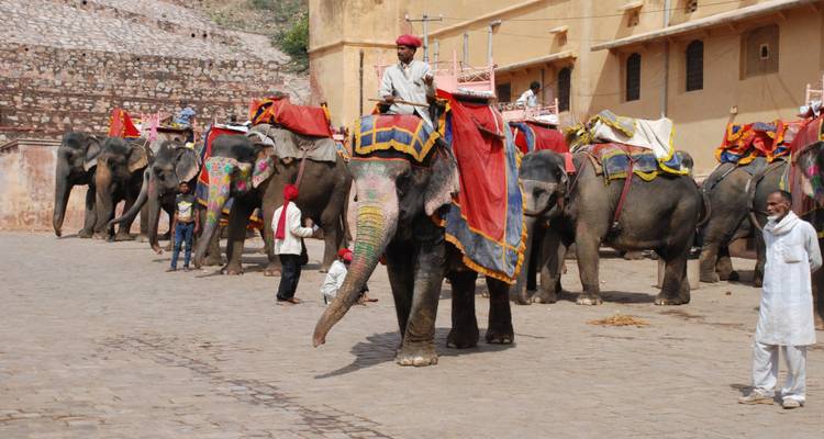 Triangle d'or avec Ranthambore - Safari dans la jungle et Rishikesh spirituelle - GeTS Holidays 3