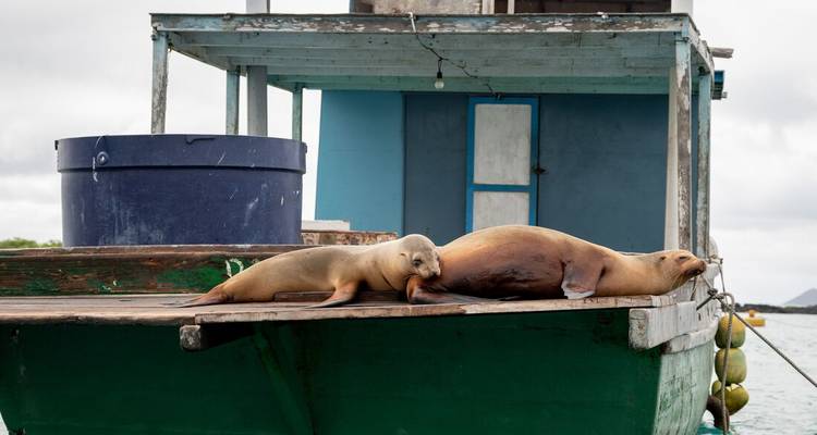 Galapagos Explorer: Southern Islands (Grand Queen Beatriz) - Intrepid Travel 6