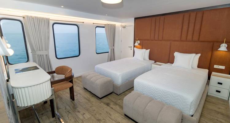 Modern twin-bed cabin on a cruise ship with large windows overlooking the ocean.