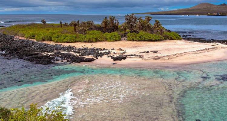Encuentro en Galápagos: islas australes - gran Reina Beatriz - Intrepid Travel 6