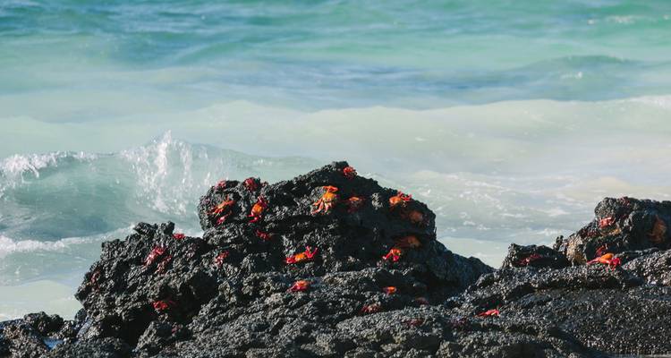 Galapagos Encounter: Central Islands (Grand Queen Beatriz) - Intrepid Travel 1